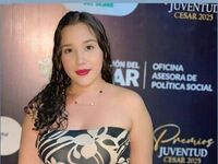cambabe ElaMaxwell